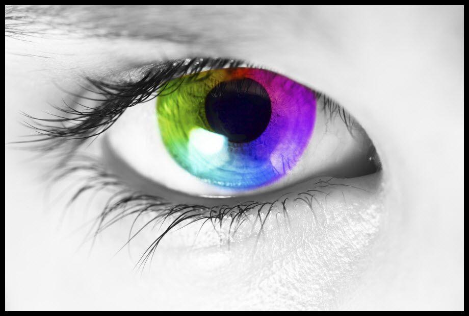 oeil